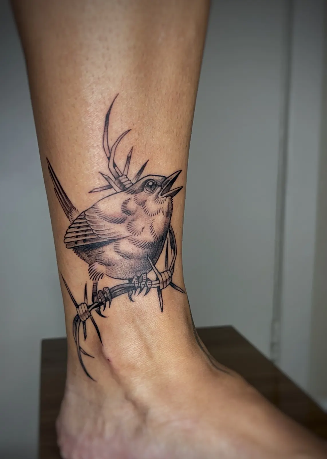 Tatuagem de passarinho no arame farpado em blackwork