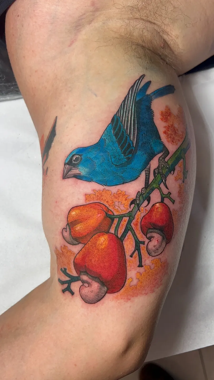 Tatuagem colorida de pássaro azul com cajus